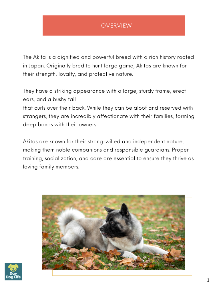 Akita Dog Care Guide