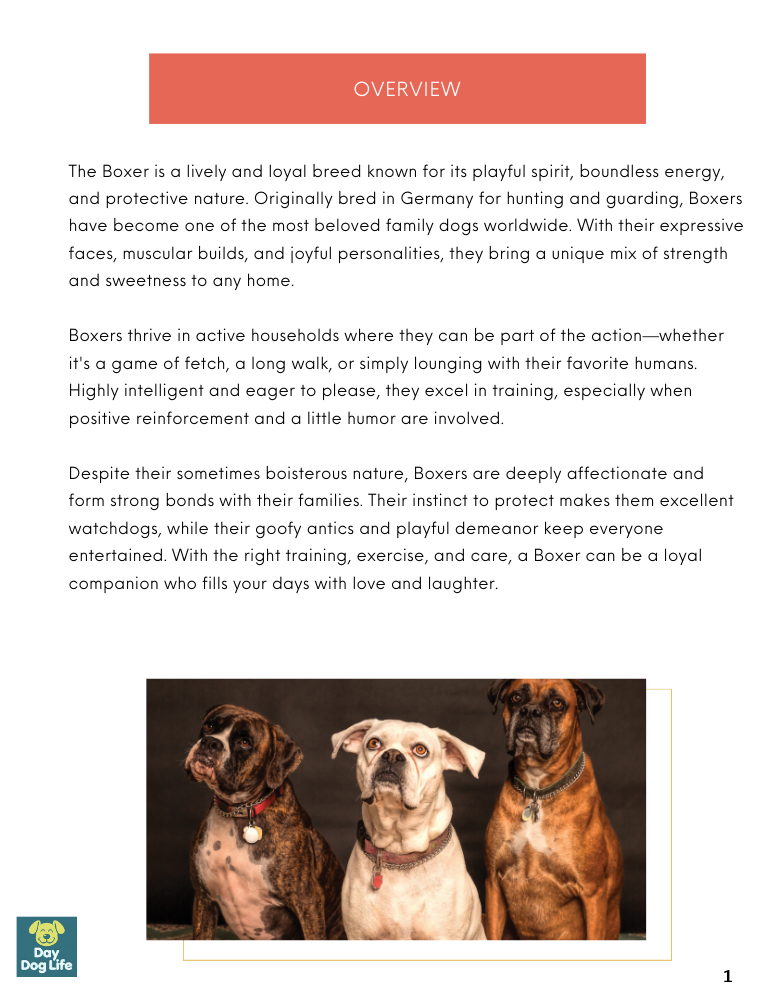 Boxer Dog Care Guide
