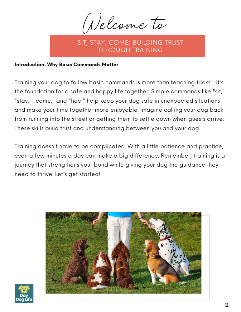 commands to teach your dog