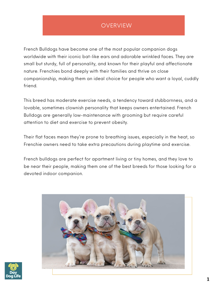 French Bulldog Care Guide