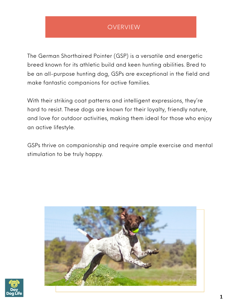 German Shorthair Pointer Care Guide