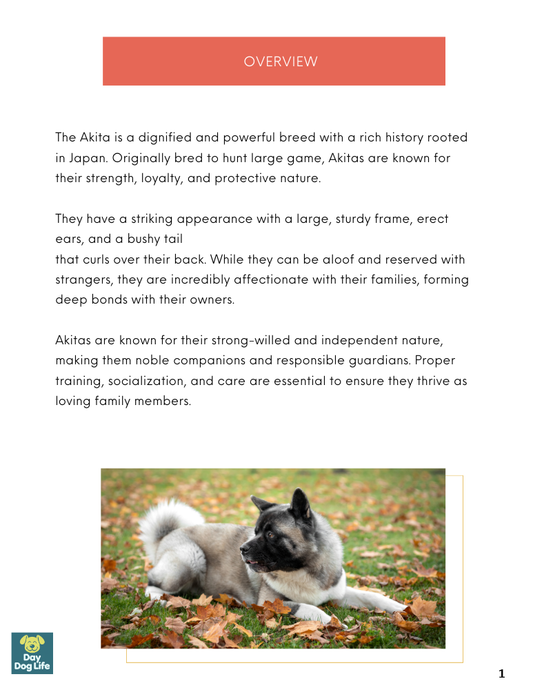 Akita Dog Care Guide