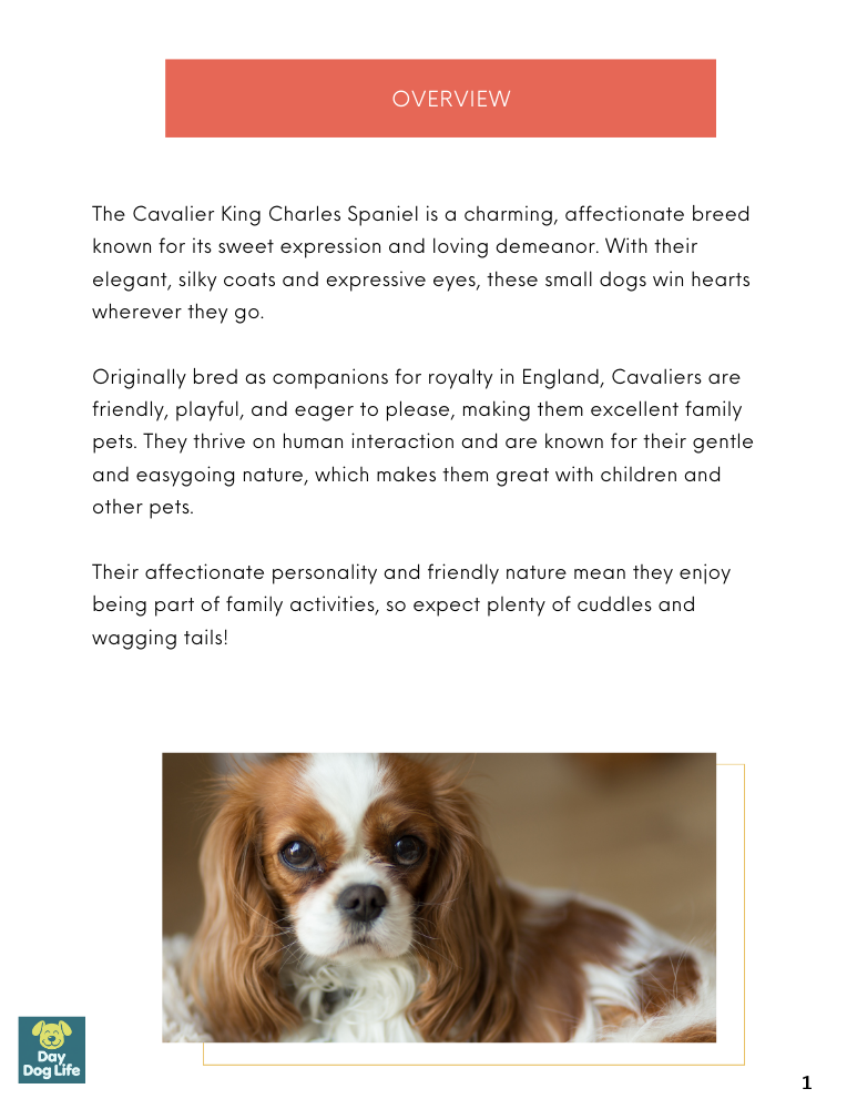 Cavalier King Charles Care Guide