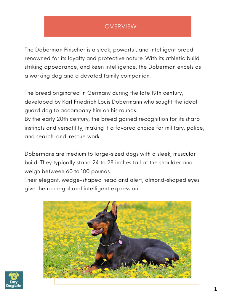 Doberman Pinscher Care Guide