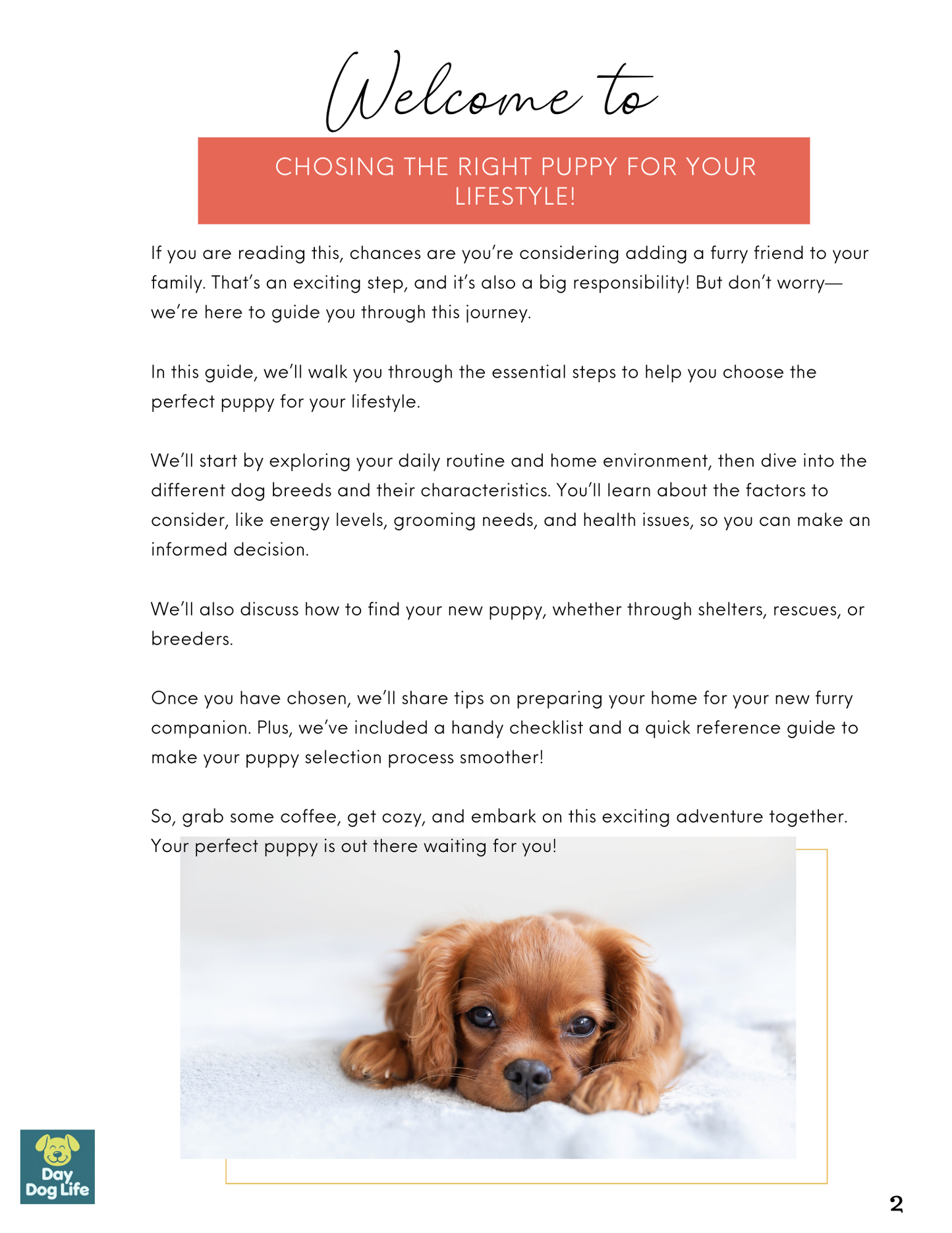 Choosing the right puppy for your lifestyle