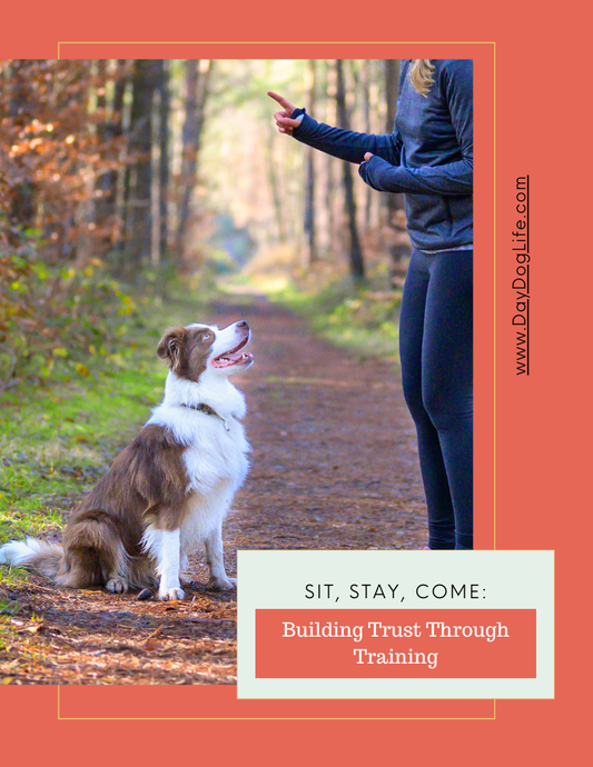 puppy training commands