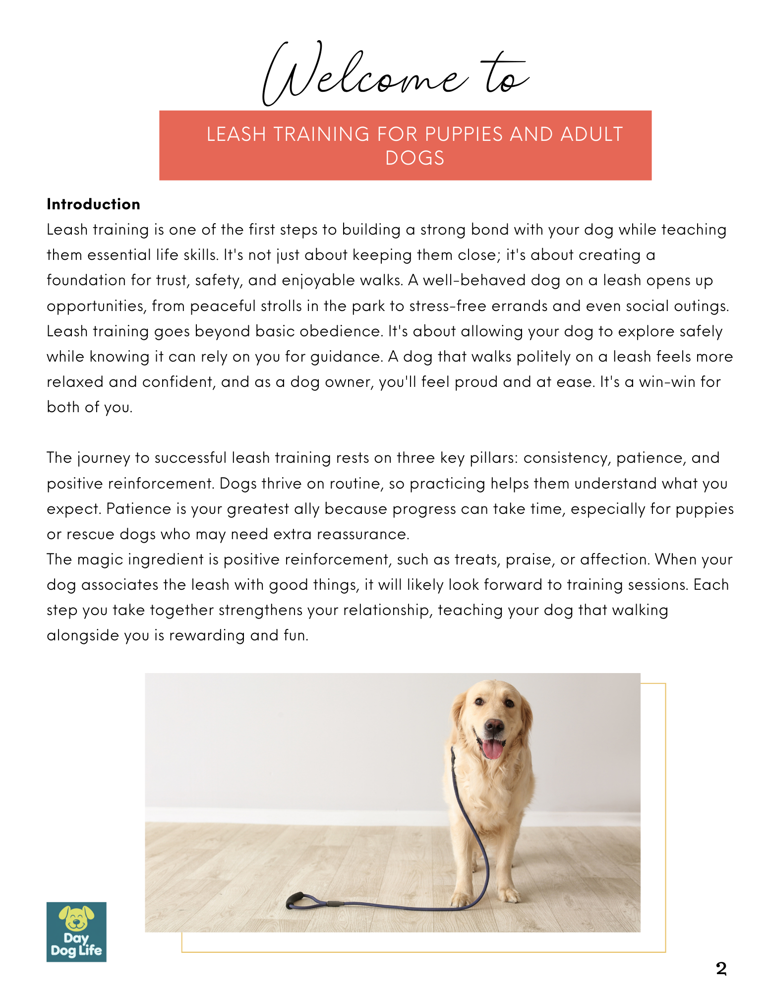 dog walking leash