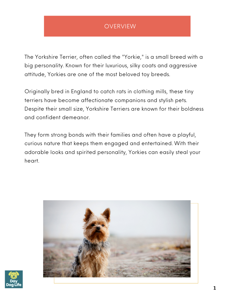 Yorkie Care Guide