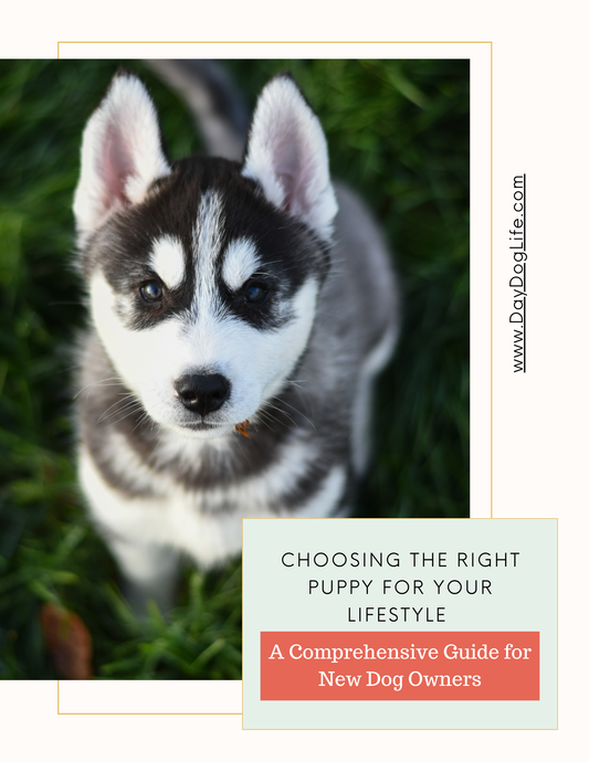 Choosing the right puppy for your lifestyle