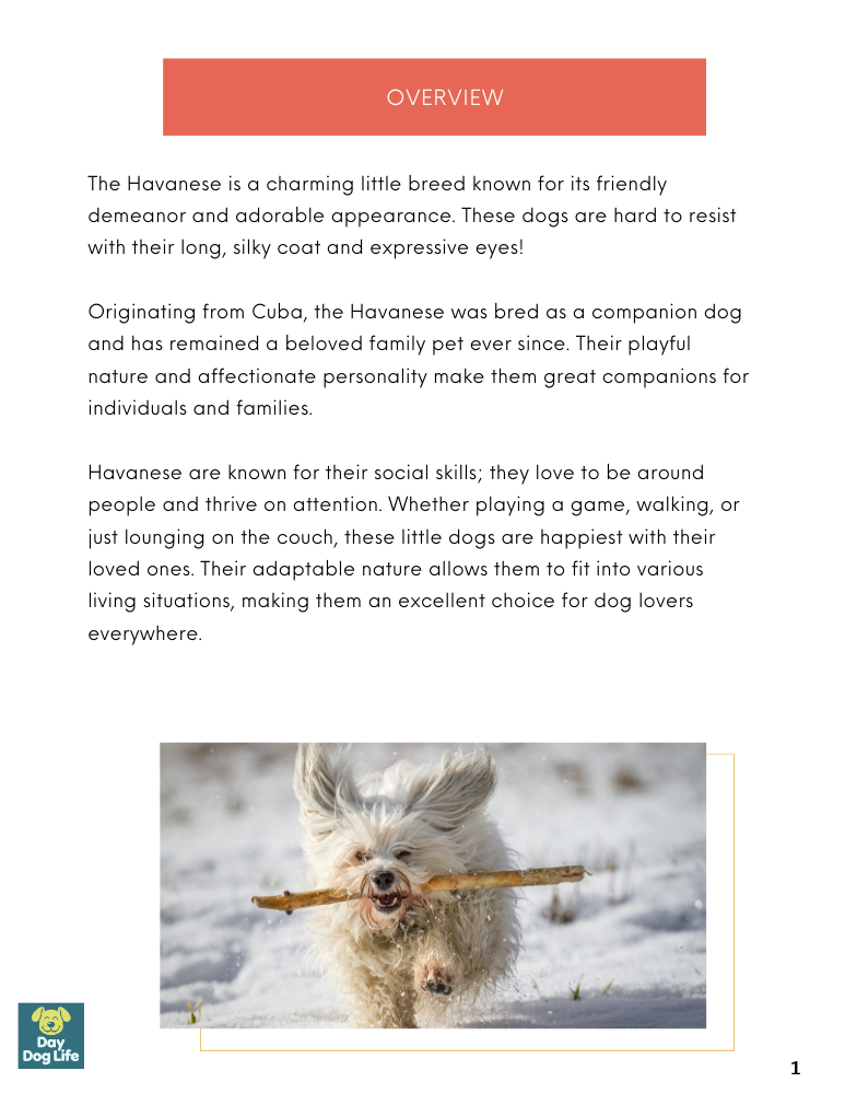 Havanese Care Guide