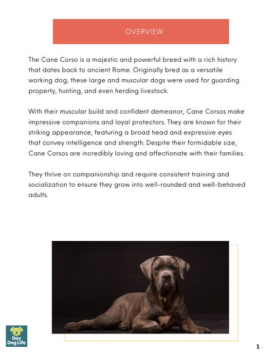 Cane Corso Care Guide